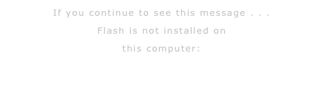 If you continue to see this message . . .
Flash is not installed on
this computer: 
CLICK HERE